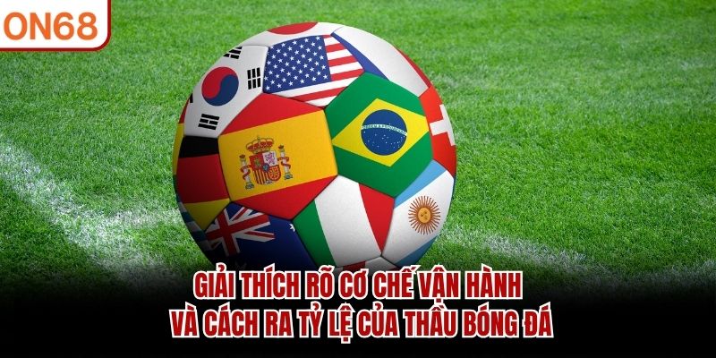 Giải th&iacute;ch r&otilde; cơ chế vận h&agrave;nh v&agrave; c&aacute;ch ra tỷ lệ của thầu b&oacute;ng đ&aacute;