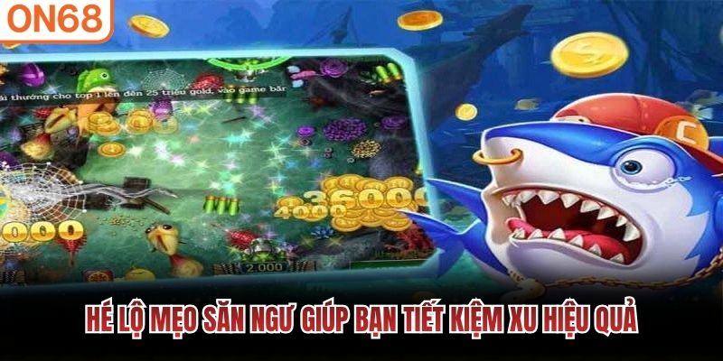 Hé lộ mẹo săn ngư giúp bạn tiết kiệm xu hiệu quả
