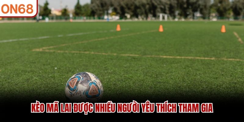 Kèo Mã Lai được nhiều người yêu thích tham gia
