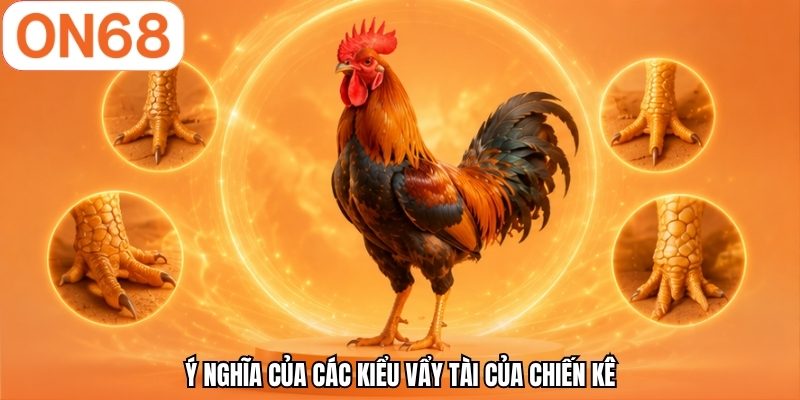Ý nghĩa của các kiểu vẩy tài của chiến kê