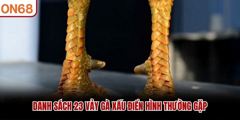 Danh s&aacute;ch 23 vảy g&agrave; xấu điển h&igrave;nh thường gặp