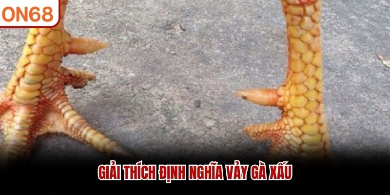 Giải th&iacute;ch định nghĩa vảy g&agrave; xấu