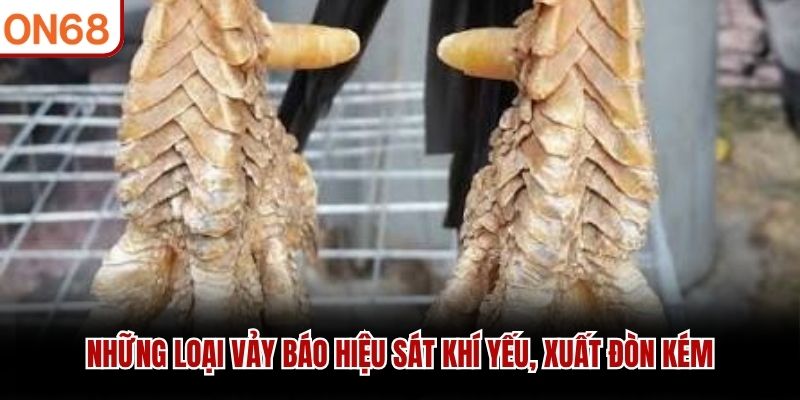 Những loại vảy b&aacute;o hiệu s&aacute;t kh&iacute; yếu, xuất đ&ograve;n k&eacute;m